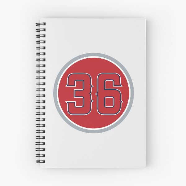 Item preview, Jered Weaver #36 Jersey Number designed and sold by StickBall.