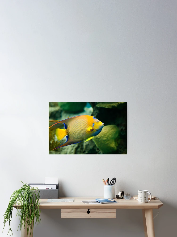 Thumbnail 2 of 3, Poster, Fish Rising designed and sold by EdwardKay.