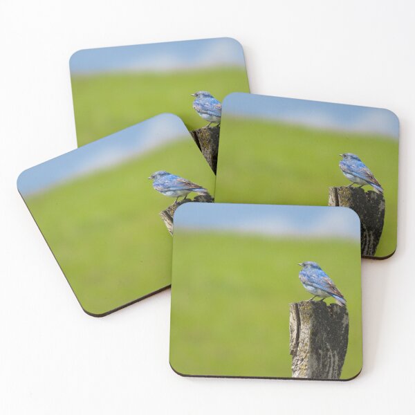 Item preview, Mountain Bluebird  designed and sold by DigitalGen.