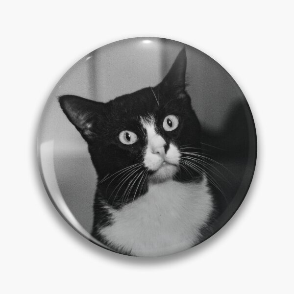 Item preview, curios cat designed and sold by william672.