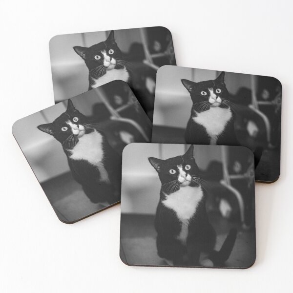 Item preview, curios cat designed and sold by william672.