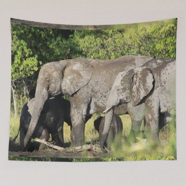 Item preview, Elephant who comes to drink designed and sold by EstelleRossetti.