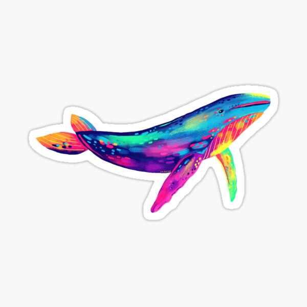 Rainbow Whale Sticker