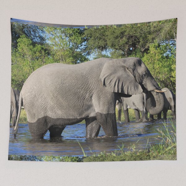 Item preview, Elephant who comes to drink designed and sold by EstelleRossetti.