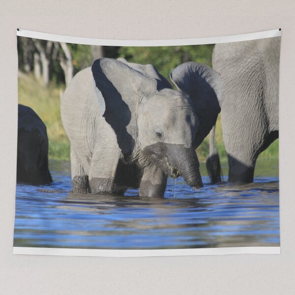 Item preview, Elephant who comes to drink designed and sold by EstelleRossetti.
