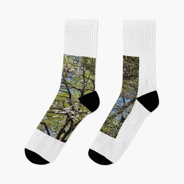 Item preview, Flowering Dogwood designed and sold by Cynthia48.