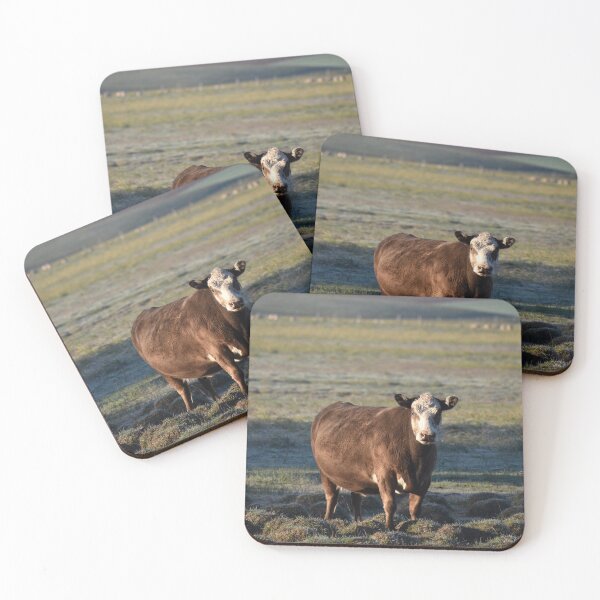 Item preview, blue sky cattle designed and sold by Ally Peter.