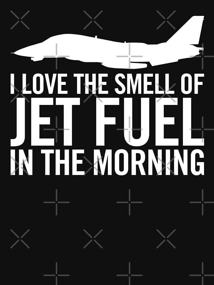 I love the smell of jet fuel in the morning F-14 Tomcat by hobrath