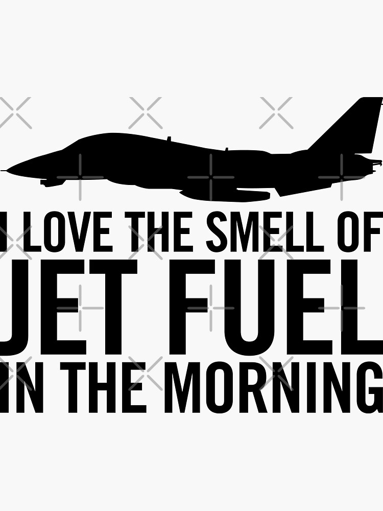 I love the smell of jet fuel in the morning F-14 Tomcat by hobrath