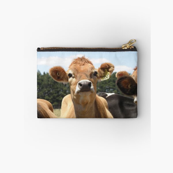 Item preview, Tassie cow designed and sold by Ally Peter.