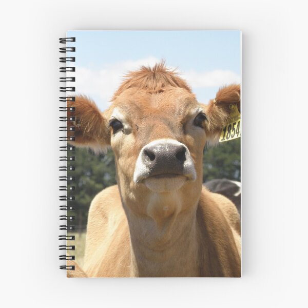 Item preview, Tassie cow designed and sold by Ally Peter.