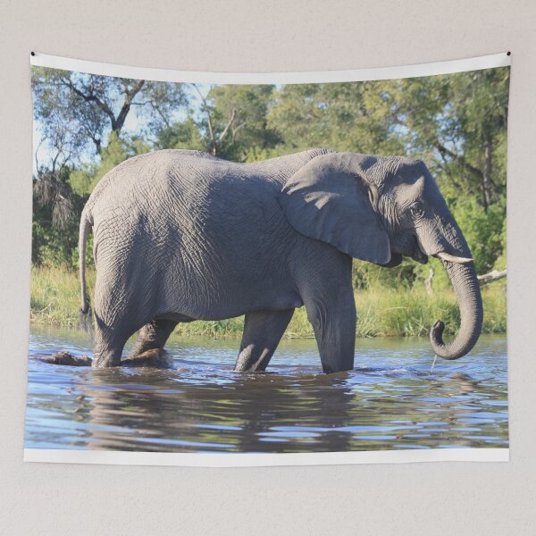 Item preview, Elephant who comes to drink designed and sold by EstelleRossetti.