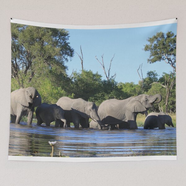 Item preview, Elephant who comes to drink designed and sold by EstelleRossetti.