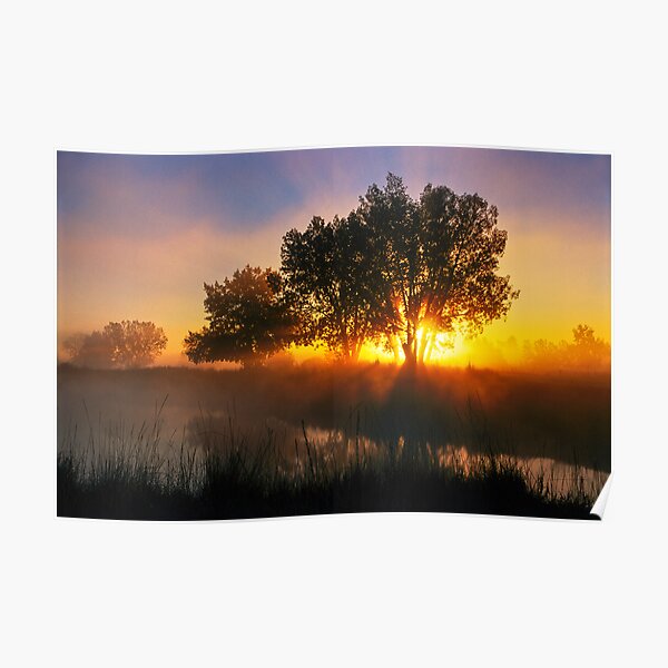 Buttercup Sunrise At Sawhill Ponds, Colorado Poster