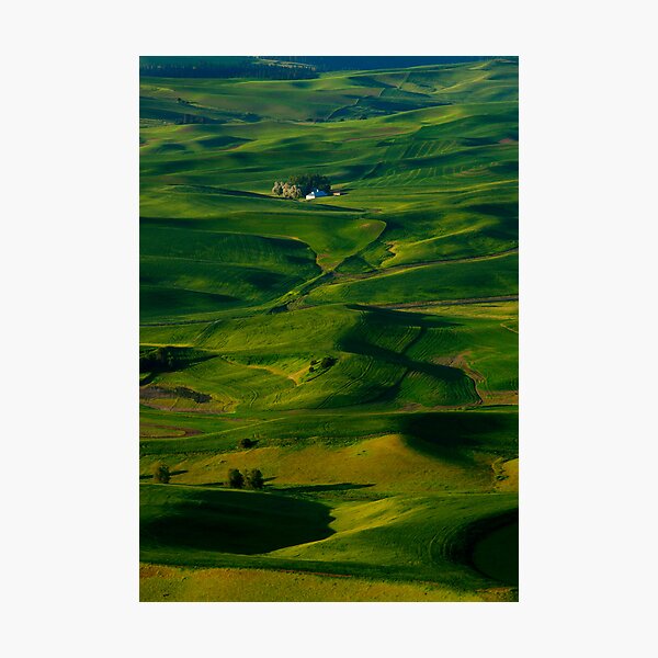 Item preview, Palouse Green designed and sold by DawsonImages.