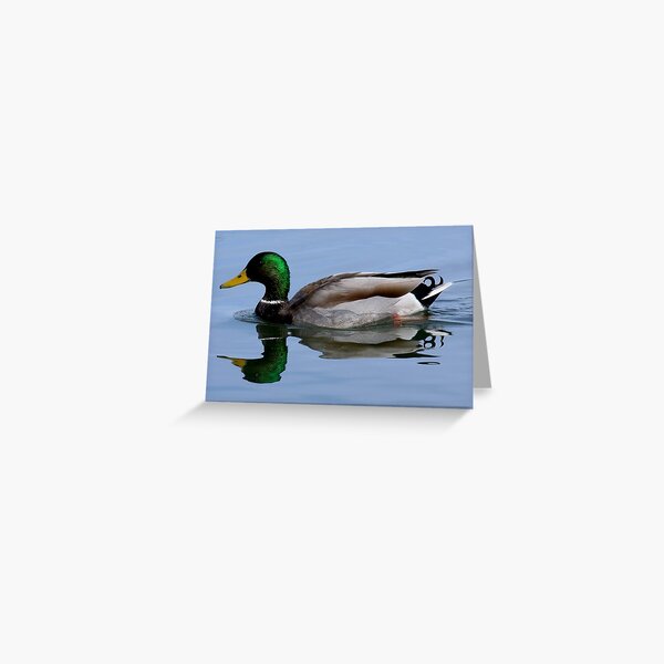 Just Ducky Greeting Card