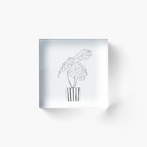Aperçu de l'œuvre Fromagerie Monstera en pot rayé créée et vendue par BotanicalStudy.