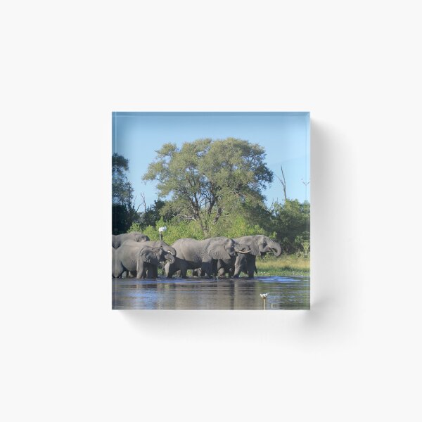 Item preview, Elephant who comes to drink designed and sold by EstelleRossetti.
