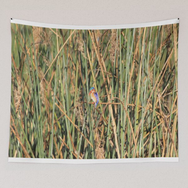 Item preview, Bismarck kingfisher in the reeds designed and sold by EstelleRossetti.