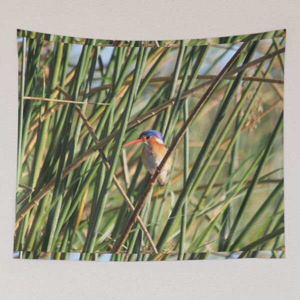 Item preview, Bismarck kingfisher in the reeds designed and sold by EstelleRossetti.