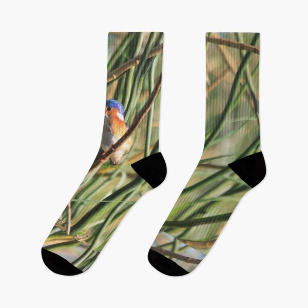 Item preview, Bismarck kingfisher in the reeds designed and sold by EstelleRossetti.