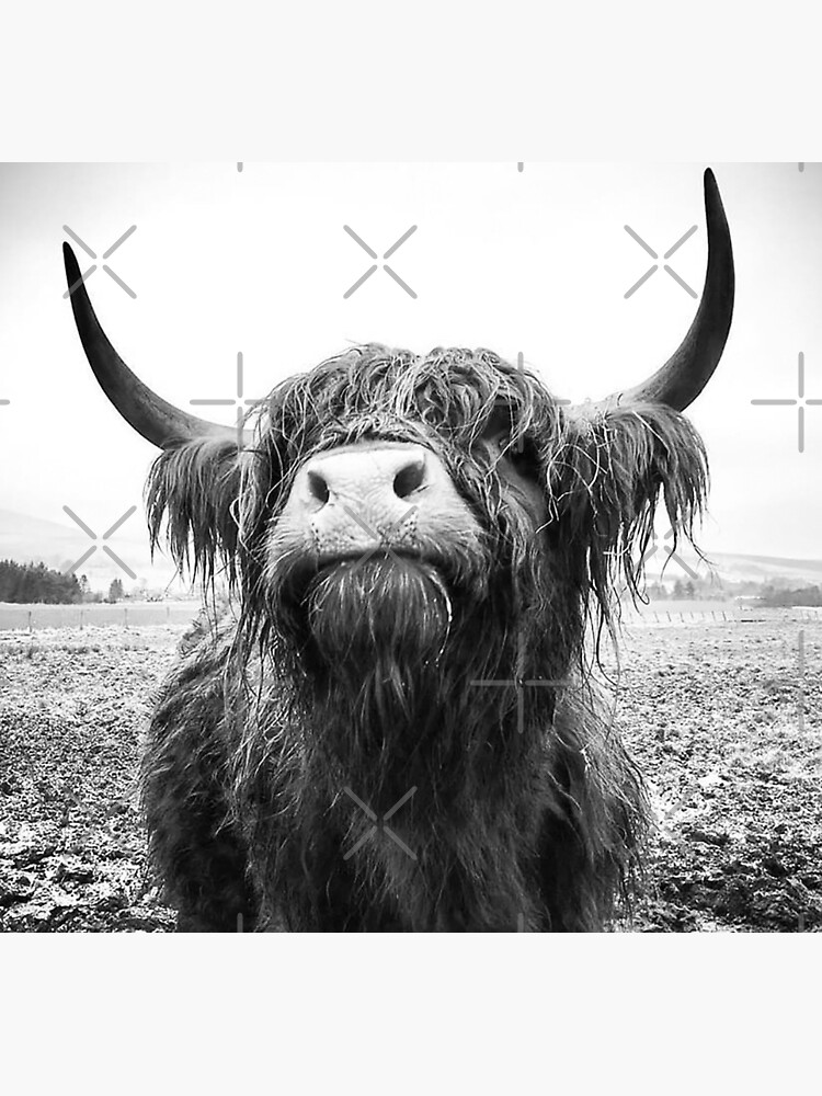 Download "Highland Cow cattle Black and White" iPhone Wallet by ...