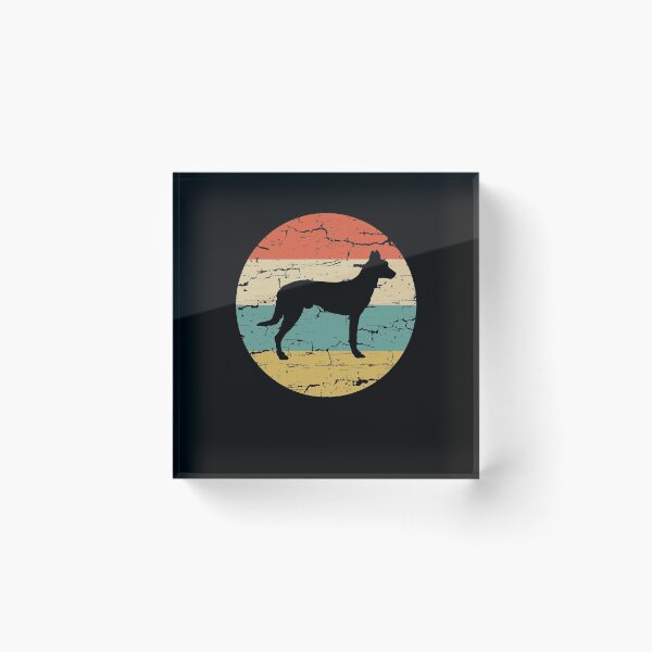 Artikelvorschau, Dutch Shepherd Vintage Retro Dog Lover Gift entworfen und verkauft von rafaeltto.