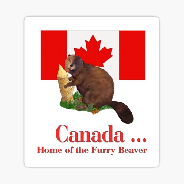 You Love My Cameltoe - Beaver Canada