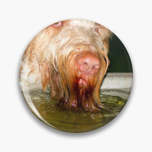Item preview, Drinking in the dark Spinone designed and sold by FOLK ART FUSION by heidiannemorris.
