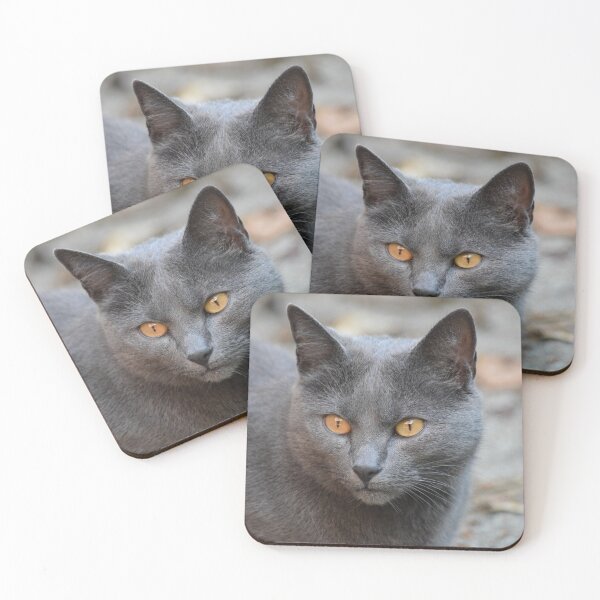 Item preview, Grey Cat - Amber Eyes - Isle of Man designed and sold by LivingDeadGirlx.