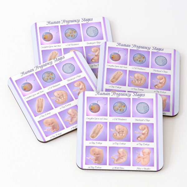 Item preview, Dance of Life - Human Pregnancy designed and sold by SpiceTree.