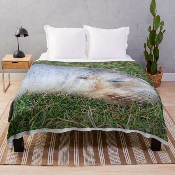 Item preview, Seal on grass designed and sold by Photopat.