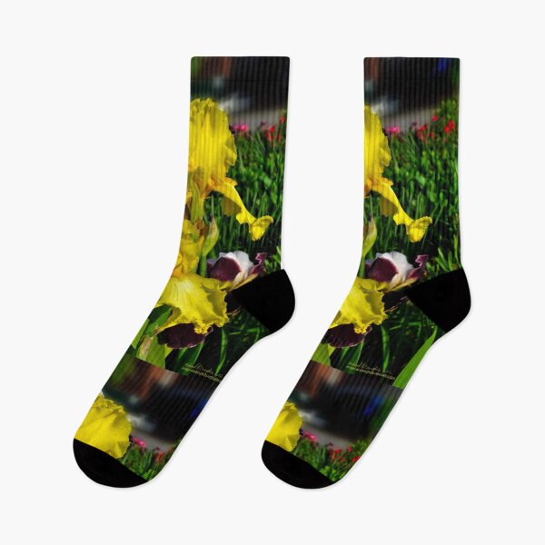 Item preview, Yellow Iris designed and sold by michaelasamples.