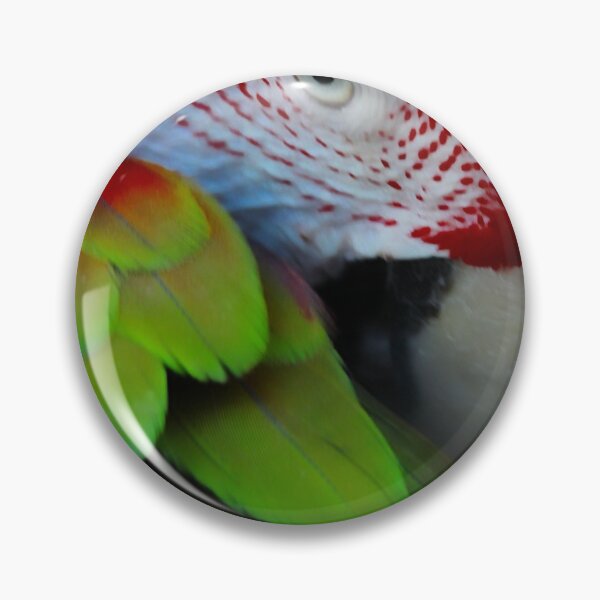 Item preview, Greenwing parrot preening designed and sold by macawmad.