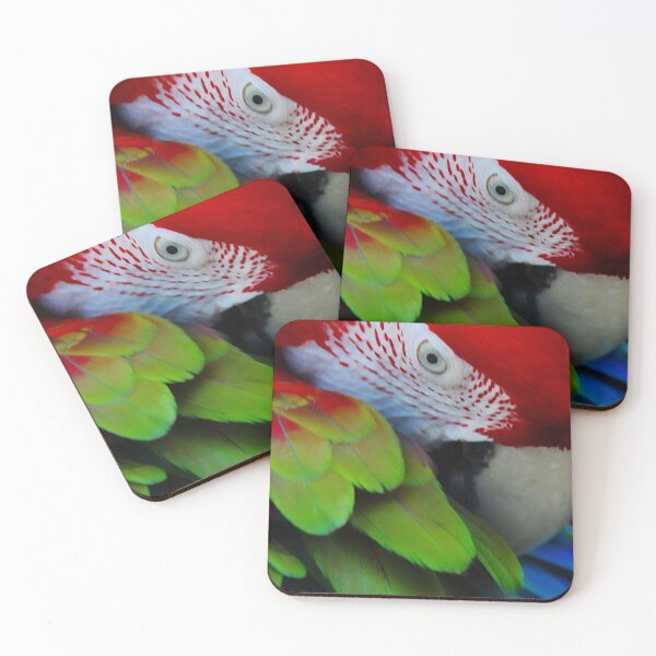 Item preview, Greenwing parrot preening designed and sold by macawmad.
