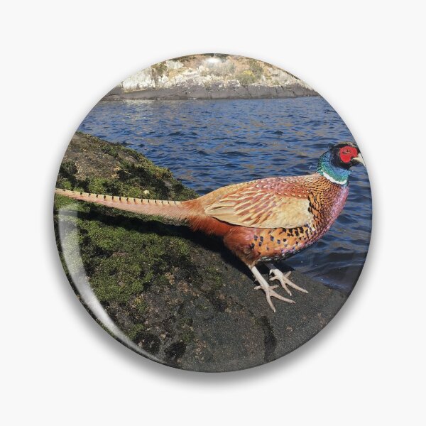 Item preview, Beautiful Ring-necked Pheasant designed and sold by CaptainAuvexin.