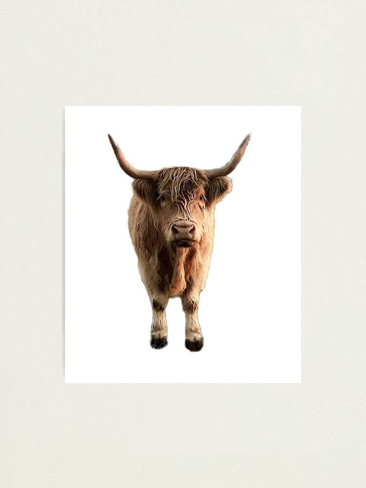 Cute cow, green cow, kawaii cow  Photographic Print for Sale by CastiloART