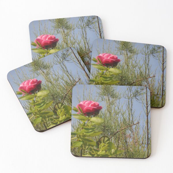 Item preview, English Rose designed and sold by Robert Petcher Art.