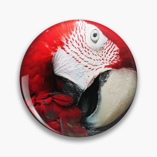 Item preview, greenwing macaw pose designed and sold by macawmad.