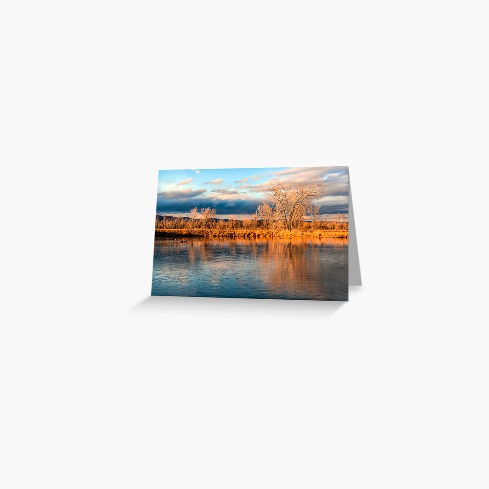 Item preview, Greeting Card designed and sold by nikongreg.