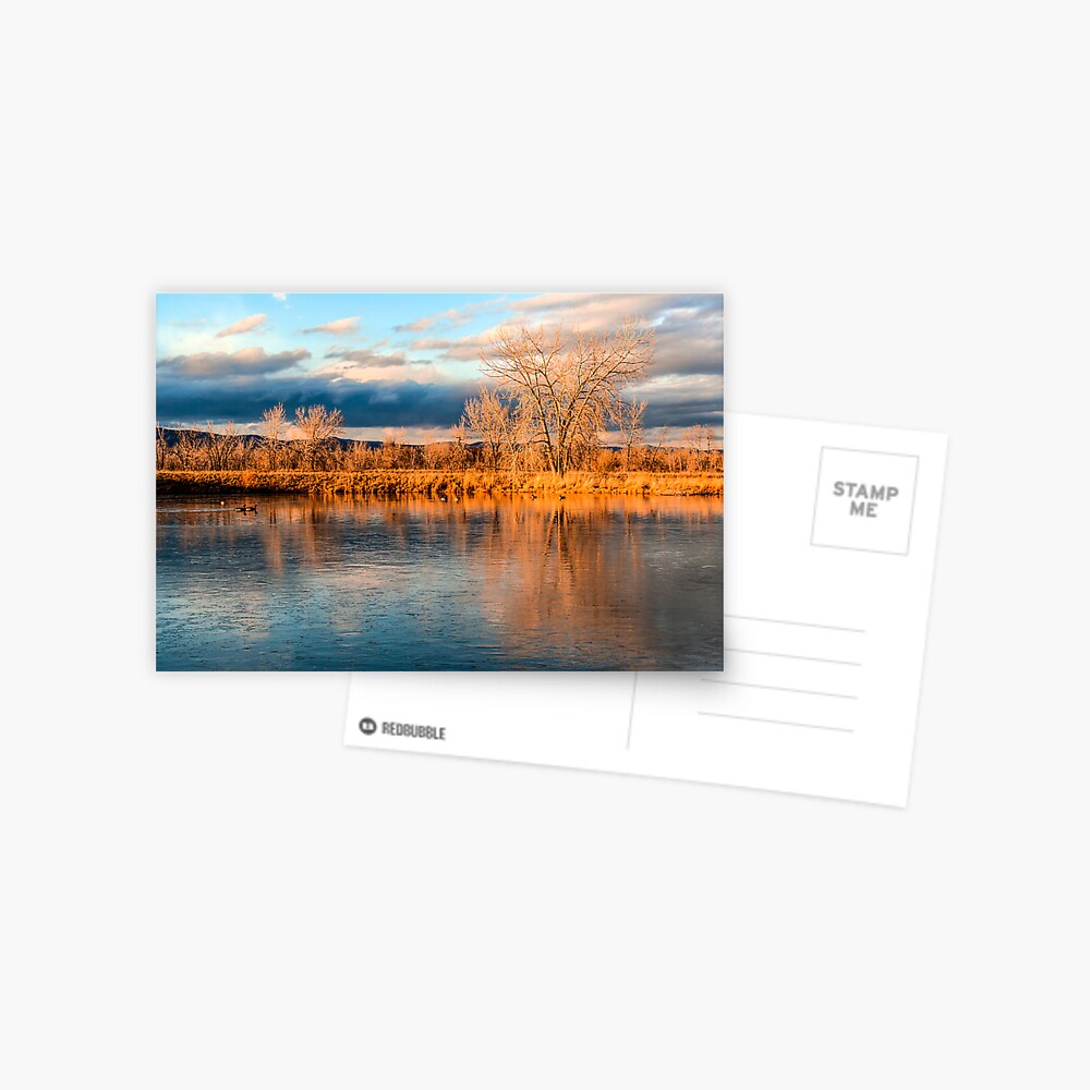 Item preview, Postcard designed and sold by nikongreg.