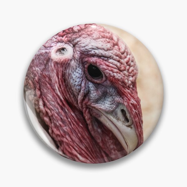 Item preview, Turkey Portrait  designed and sold by heatherfriedman.