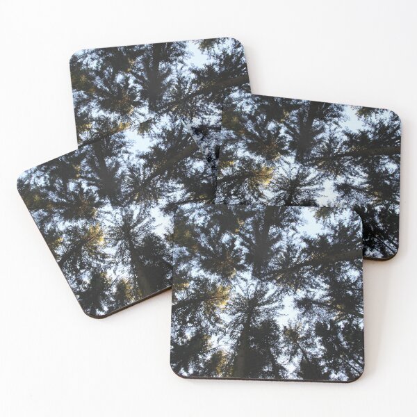 Item preview.
