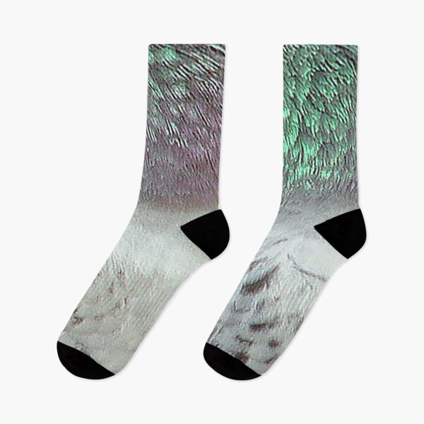 Item preview, City Pidgeon Feathers Skin Hide designed and sold by dennieb.