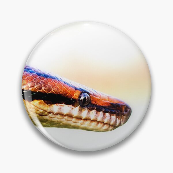 Item preview, Rainbow Boa designed and sold by FOLK ART FUSION by heidiannemorris.