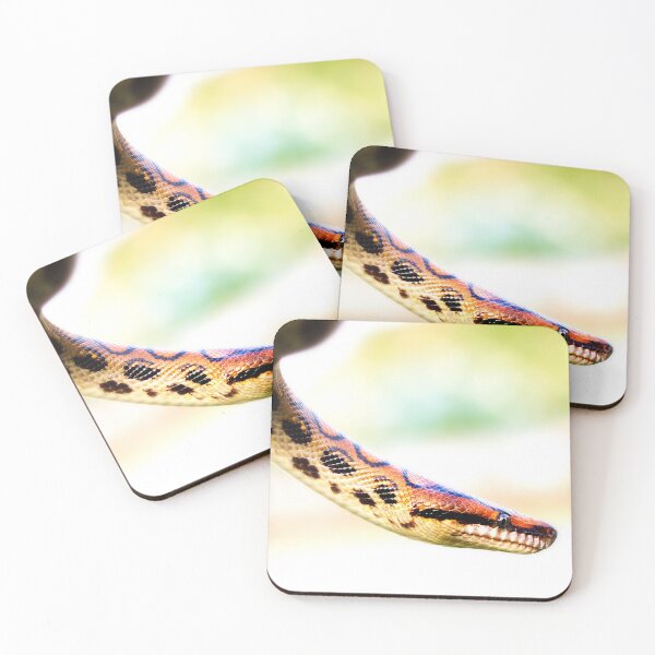 Item preview, Rainbow Boa designed and sold by FOLK ART FUSION by heidiannemorris.