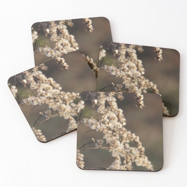 Item preview, Dried herbaceous plant flower bloom seeds springtime designed and sold by EstelleRossetti.