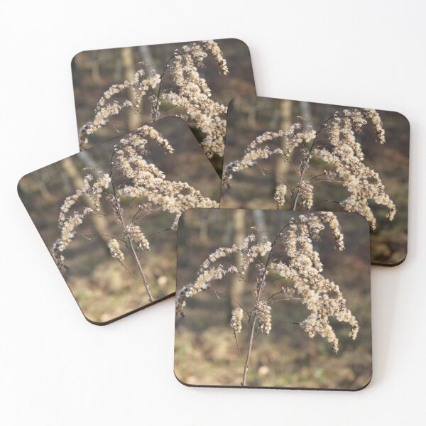 Item preview, Dried herbaceous plant flower bloom seeds springtime designed and sold by EstelleRossetti.