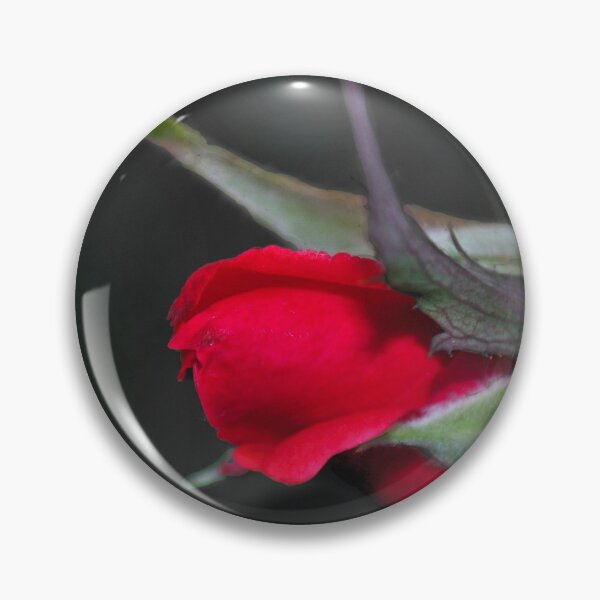 Item preview, Anticipation designed and sold by michaelasamples.