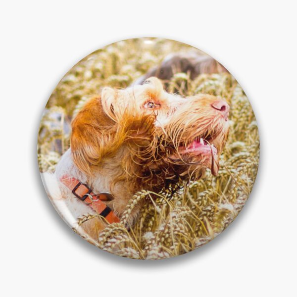 Item preview, Cover me I'm going in Spinone by heidiannemorris designed and sold by FOLK ART FUSION by heidiannemorris.